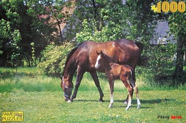 Poskládejte si puzzle z 2000 a více dílků