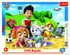 Puzzle deskové Paw Patrol/Tlapková patrola na stopě 37x29cm 25 dílků ve fólii