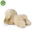 Plyšový pes labrador 20 cm