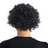 Paruka afro pánská