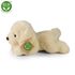 Plyšový pes labrador 20 cm