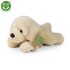 Plyšový pes labrador 20 cm