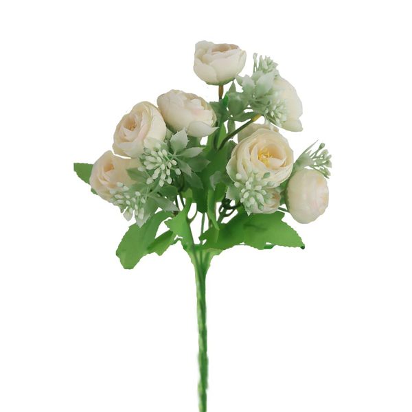 Pryskyřník X6947-01