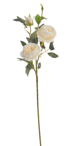 Plnokvětá růže 65 cm - krémová