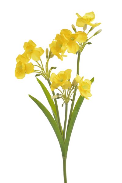 Umělá rostlina narcis trs - žlutá