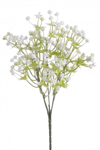 Gypsophila s lístečky - bílá 30 cm