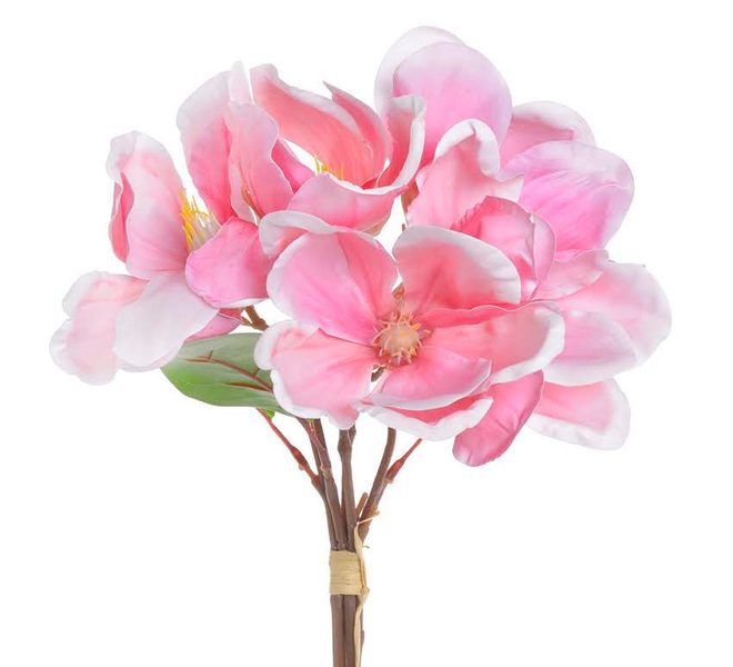 Kytice magnolií - růžová výraznější