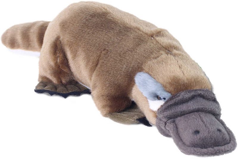 PLYŠ Ptakopysk 30cm Eco-Friendly *PLYŠOVÉ HRAČKY*