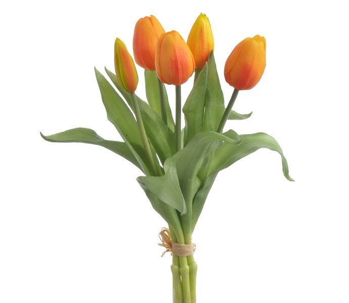 Svazek tulipánů 5 ks - žlutá/oranžová