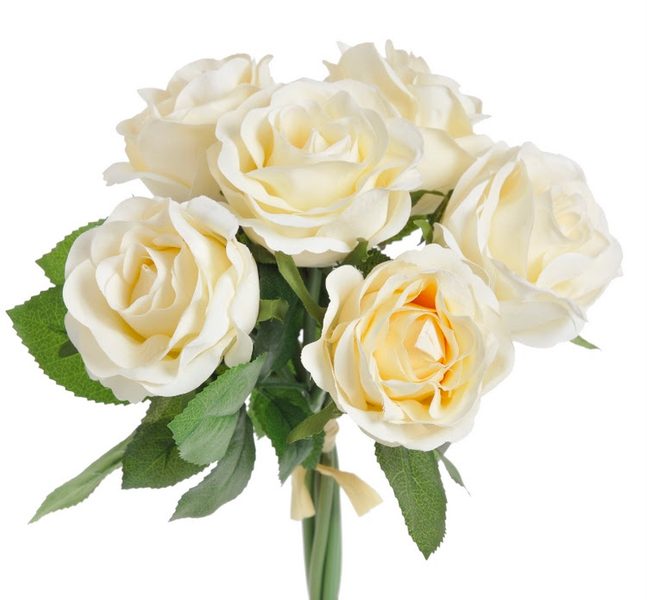 kytice růží 6 ks - krémová