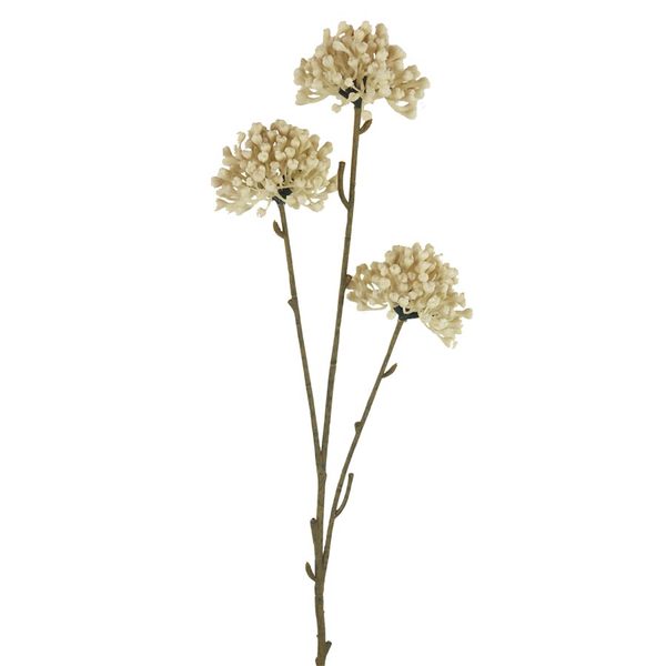 Okrasný česnek 60 cm X6847-26