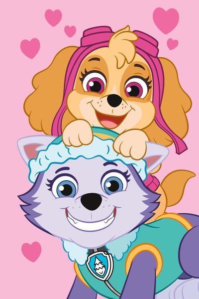 Dětská fleecová deka Paw Patrol PP518 100x150 cm