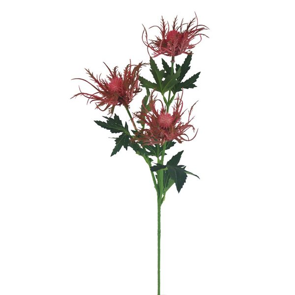 Okrasný bodlák X6842-07 - 67 cm