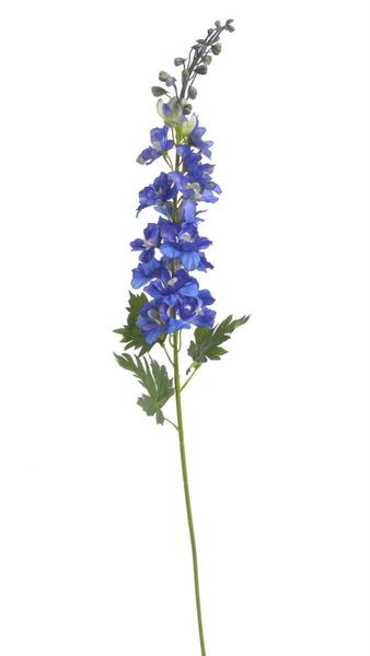 Ostrožka 79 cm - tmavá modrá