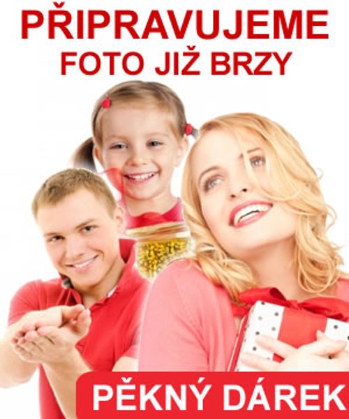 Povlečení krep Rimona 140x200+70x90 cm