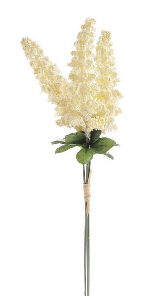 Amaranthus - krémová 3 ks