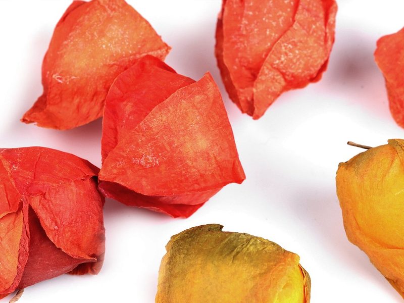 Umělá mochyně k aranžování BALENÍ 12 kusů malých