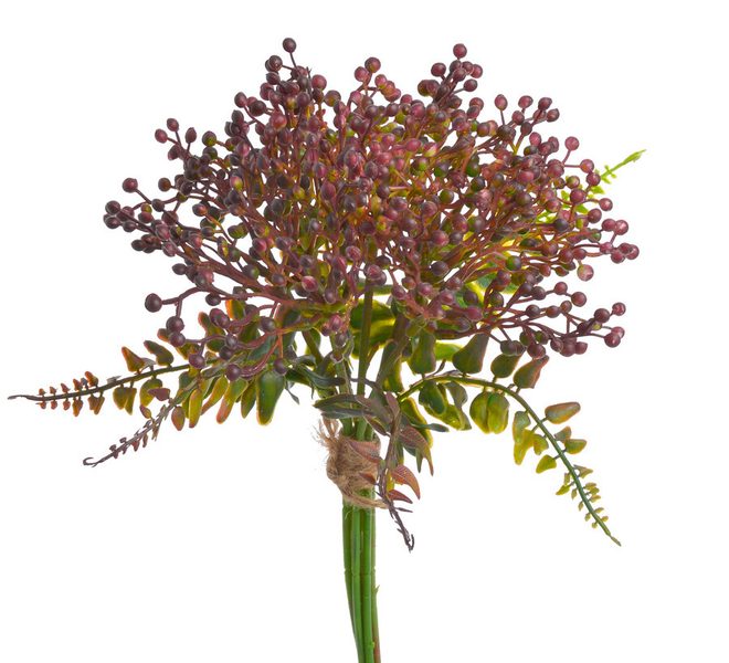 Větvička s bobulemi a listy - vínová