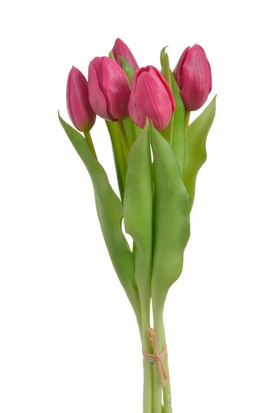 Svazek tulipánů 5 ks - růžová