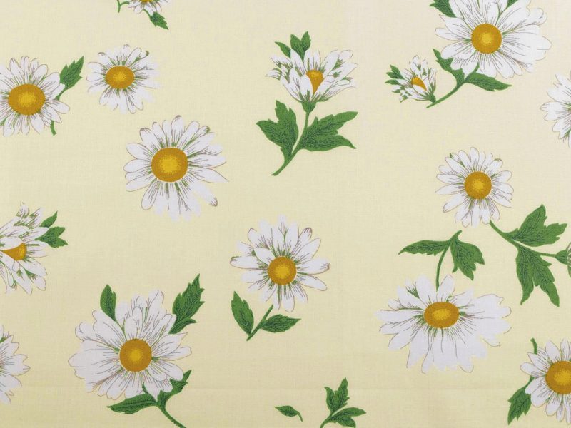 Bavlněná látka / plátno sedmikrásky METRÁŽ