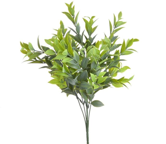 Umělý ruscus světle zelený 36 cm