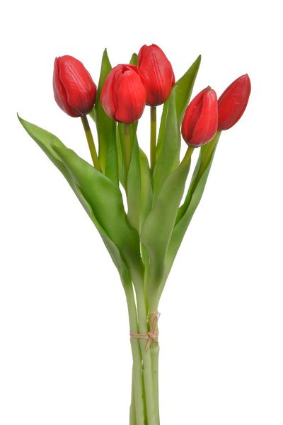 Svazek tulipánů (5 ks) - červená 30 cm