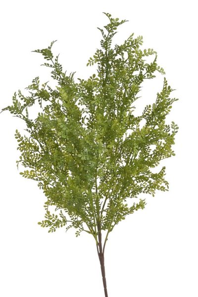 Umělá drobnolistá rostlina zelený trs