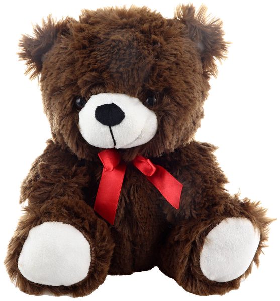 PLYŠ Medvěd tmavý 25cm s mašličkou *PLYŠOVÉ HRAČKY*