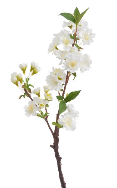 Větvička sakura 48 cm - bílá