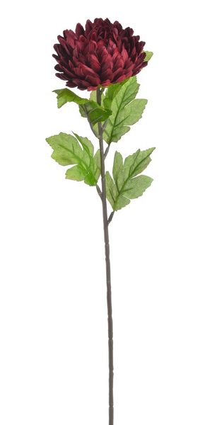 Chryzantéma 58 cm - vínová