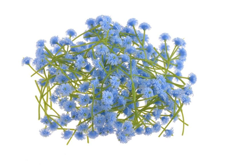 Gypsophila - šater - květy stonek 4 cm - modrá