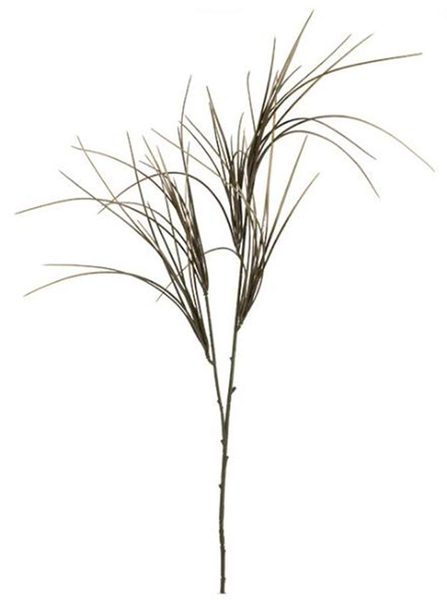 Okrasná tráva X6846-26 - 104 cm