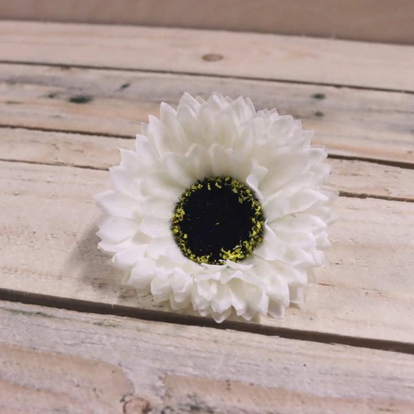 Květ astra krémová, 10 kusů  371176-01