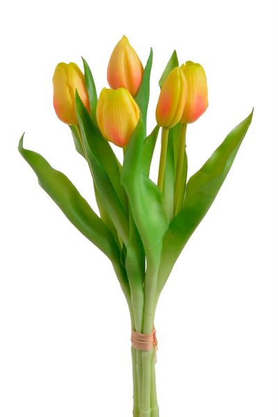 Svazek tulipánů 5 ks - žlutá s oranžovou