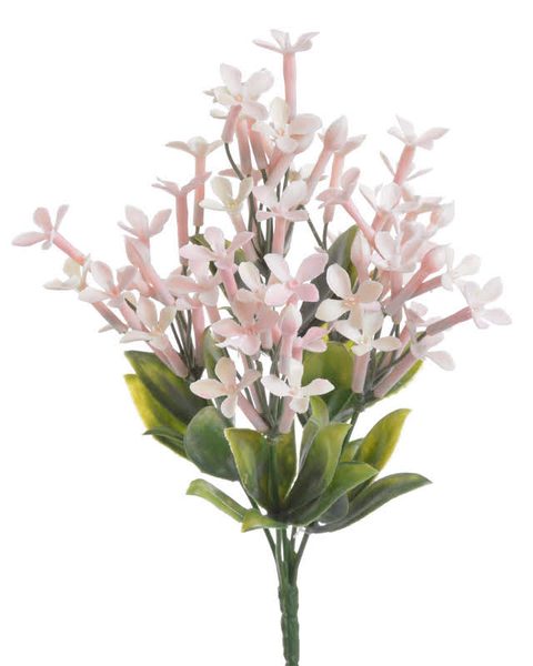 Jasmín s lístky - světlá růžová