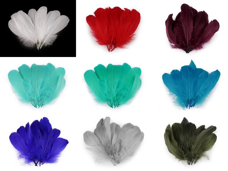 Husí peří délka 14-18 cm 10 kusů