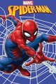 Fleece deka Spiderman web 100/150