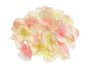 Květy hortenzií 12ks - sv. meruňková + růžová