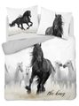 Francouzské povlečení Koně The King Bavlna, 220/200, 2x70/80 cm