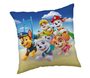 Polštářek Paw Patrol Bridge 40x40 cm