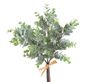 Umělý eukalyptus