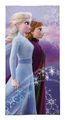 DETEXPOL Osuška Ledové Království 2 Anna a Elsa Bavlna - Froté, 70/140 cm