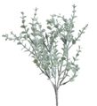 Eukalyptus trs 5 větviček - zelenošedá