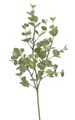 Eukalyptus 48cm - zelená světlá