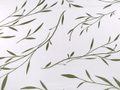 Bavlněná látka / plátno listy METRÁŽ
