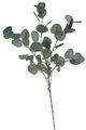Eukalyptus 90 cm - zelená tmavší 90cm