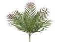 Palmové listy trs 60 cm