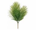 Palmové listy trs 60 cm