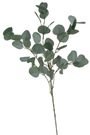 Eukalyptus 90 cm - zelená tmavší 90cm
