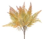 Kapradina trs 43 cm - zelená/oranžová